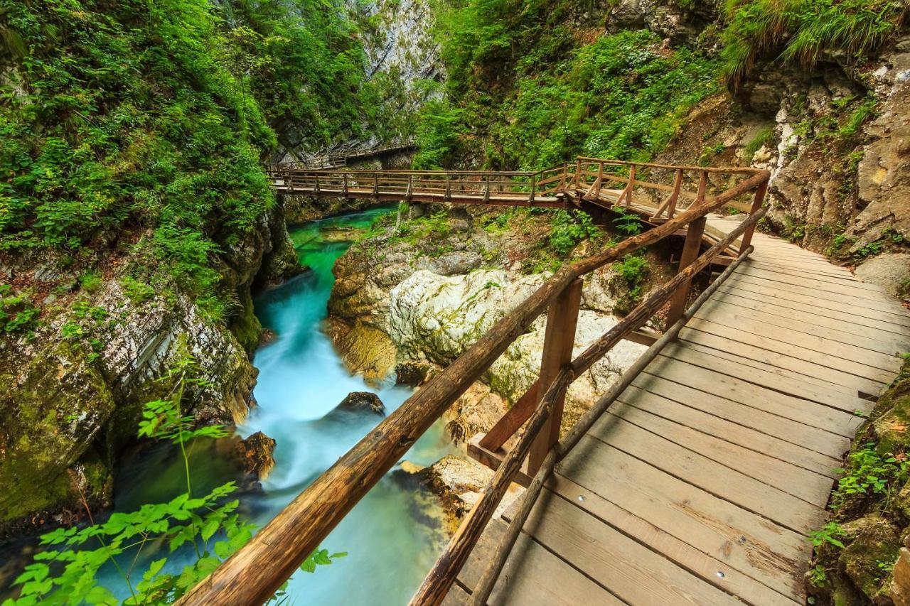 Lake Bled Holiday Home Dış mekan fotoğraf